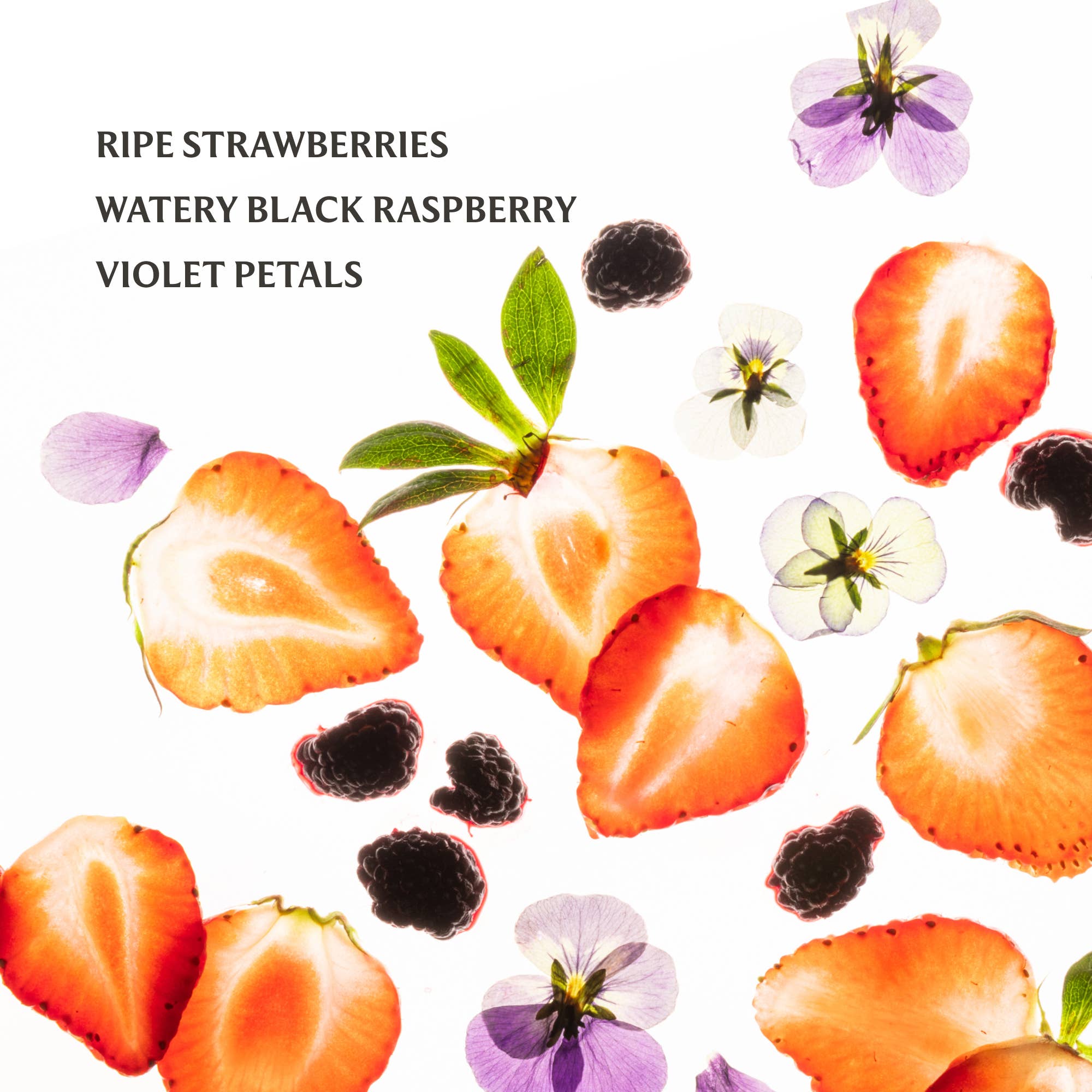 BERRY BLISS TOUCHLAND